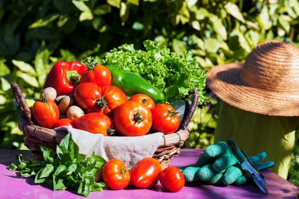 Benefits of Organic Food